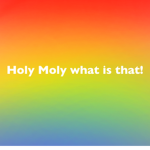 Holy Moly What is that!