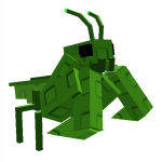 Praying Mantis