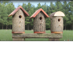 bird houses