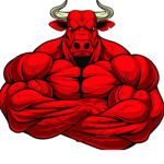 황소부대 (bull unit)