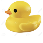 Duck ducks club