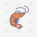 Shrimp Squad UwU