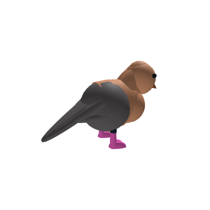 Mourning Dove