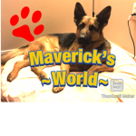Maverick Paws Official