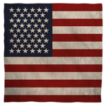 The USA armed forces