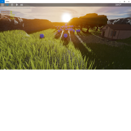 Life in the woods (showcase)