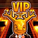 the vip