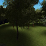 The forest of my brother's wishes