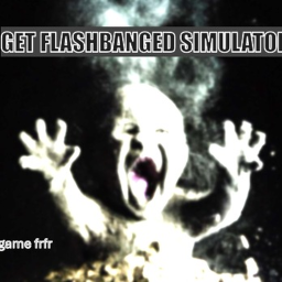 Get Flashbanged Simulator