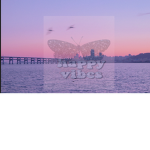 ʜᴀᴘᴘʏ ᴠɪʙᴇz