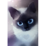 War kitty