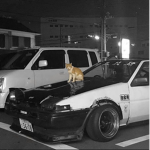 衣 ɴᴏ ꜱᴇɴꜱᴇ