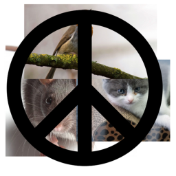 sign it