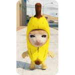 Banana cat fans