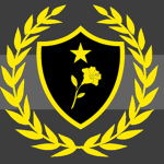 Grey Brigade