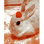 ᴛʜᴇɢʟᴏʙᴀʟʙᴜɴɴɪᴇs