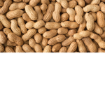 the peanut guys