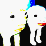 old group ignore this