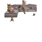 cat gaming fan group!1
