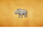 Rhino Believers