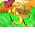 Wings of fire beans
