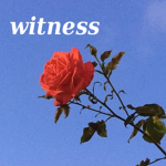 Witness Studios