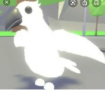 Hey join me I may give robux
