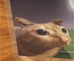 doge clan!!!!!!!!!!!!!!!!!!!!!!!!!!!