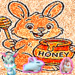 HONEY ⋆ BUNNY