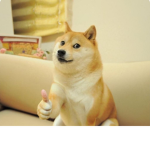 Dogenium