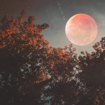 <<Moon - Glow>>