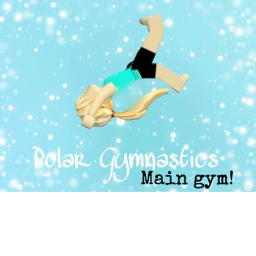Polar gymnastics's main gym!