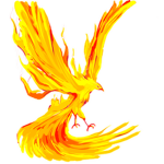 Flaming Fire Bird_