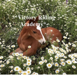 -*Victory Riding Academy*-