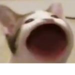 Hello its me your dear friend :D