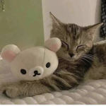 hearts for someone