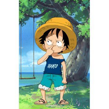 One piece game