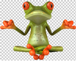 Frogs club