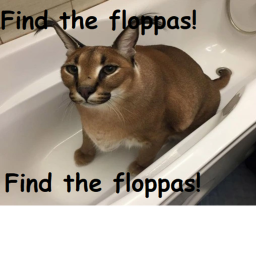Find the floppas