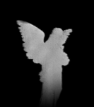 ††.††