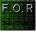 F.O.R. Fight For Roblox Airforce