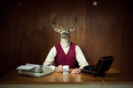 RoadKill Game Studio