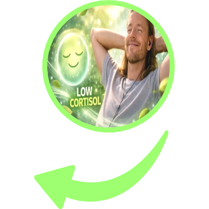 low cortisol thumbnail