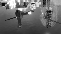 Combat