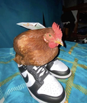 Radical chicken