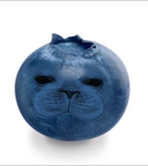 Cat the best of the best