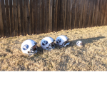 byufan11's byu fans