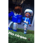 Ro Ninja’s