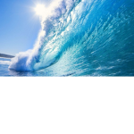 The Ocean Shadow Squad