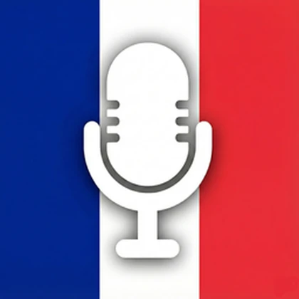 French Voice Chat Roblox group icon